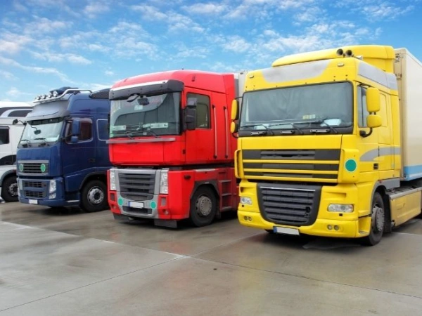 Bursa Sapanca Nakliye